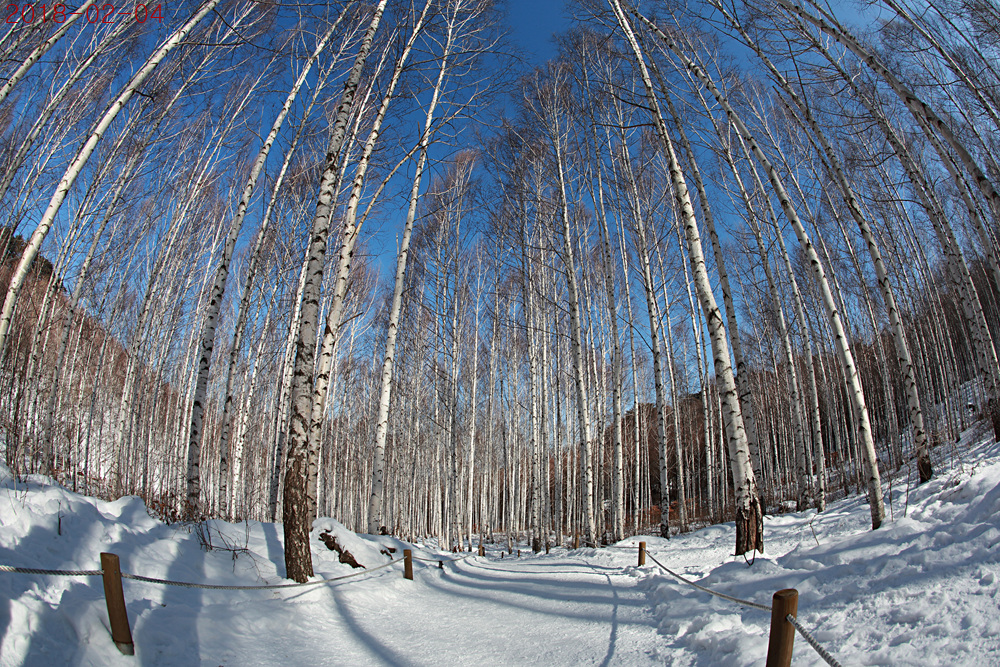 IMG_7082.jpg