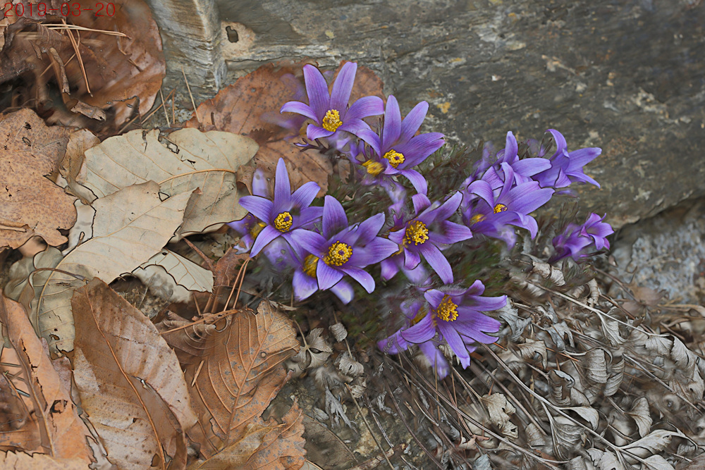 IMG_9955하늘.jpg