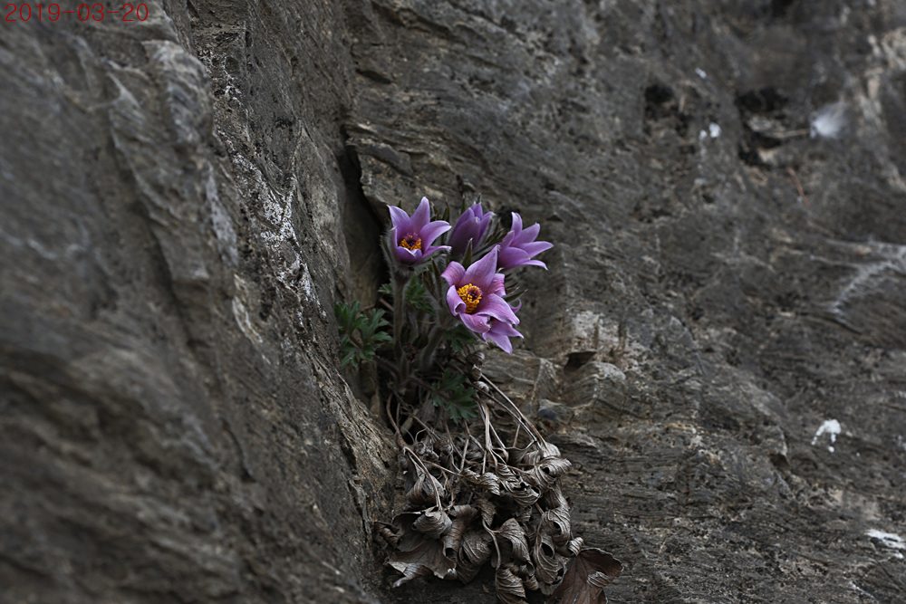 IMG_9962하늘.jpg