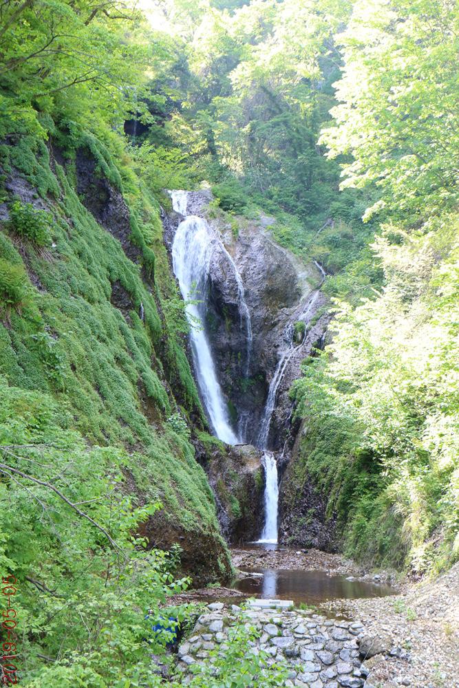 IMG_8359.jpg