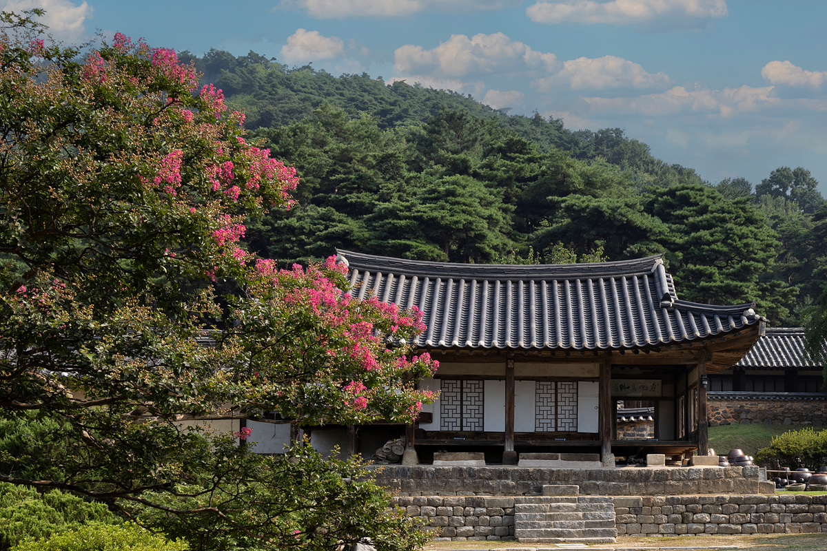 0C8A0689 복사2.jpg