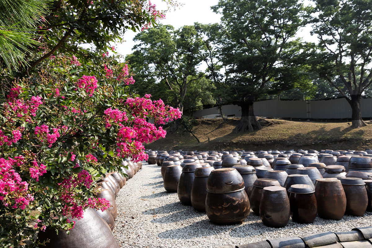 0C8A0703 복사1.jpg