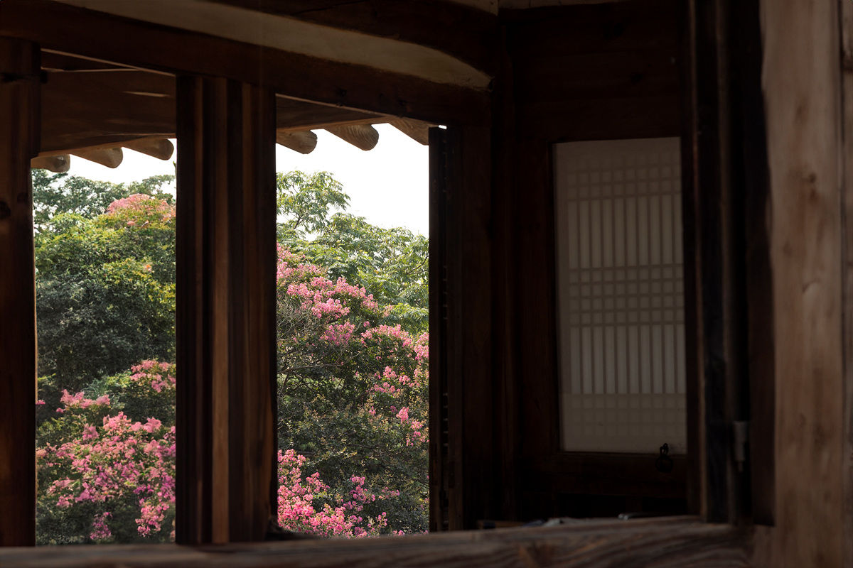 0C8A0728 복사1.jpg