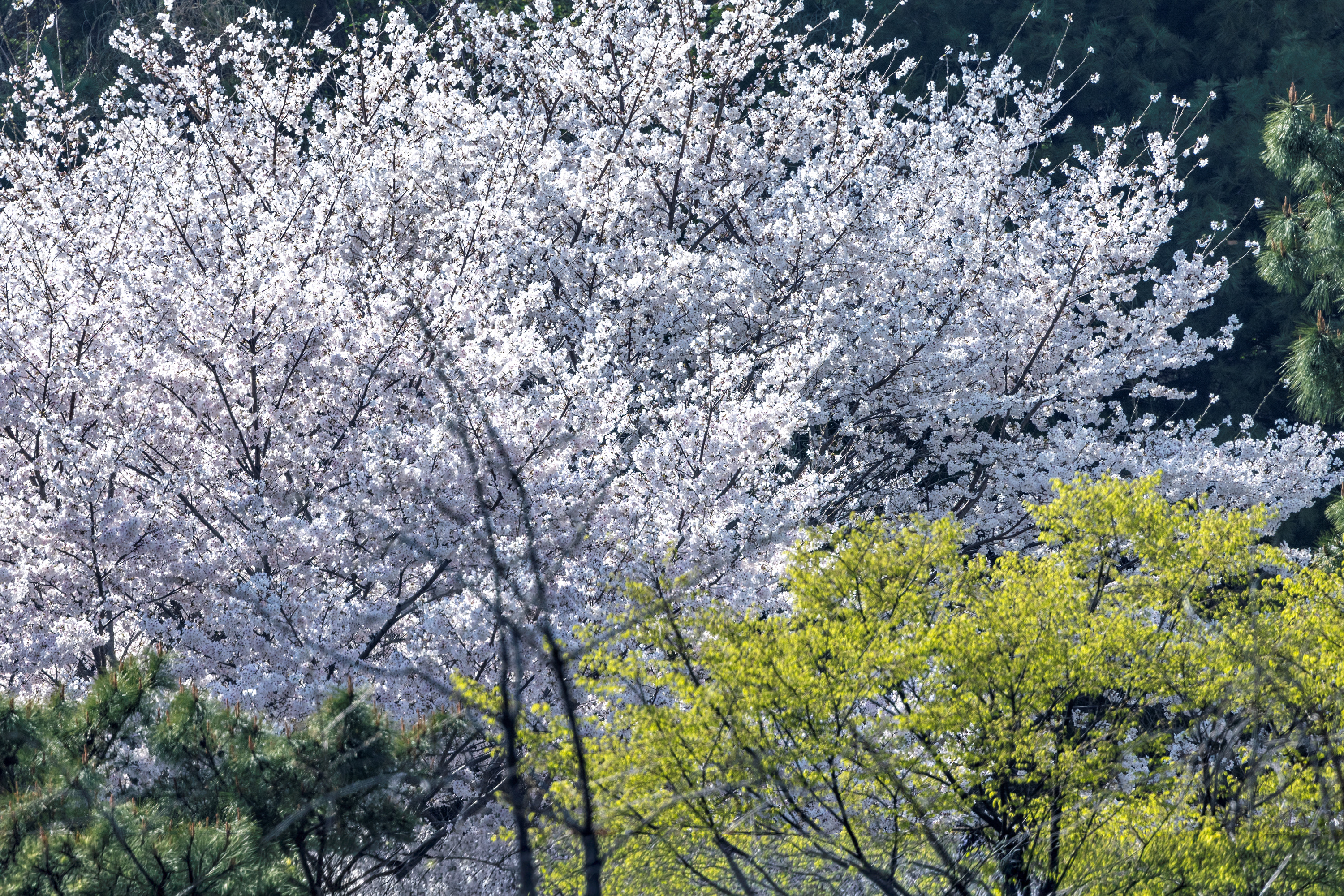 0C8A7071-HDR 복사.jpg
